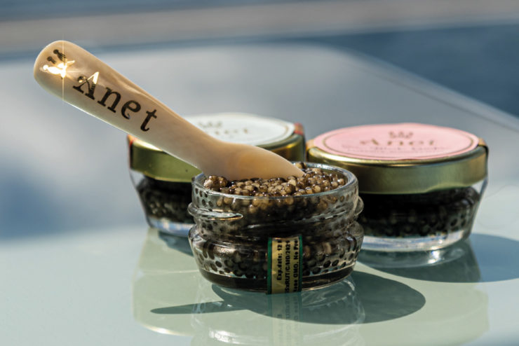 Anet Caviar