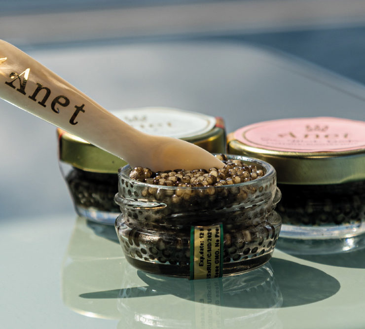Anet Caviar