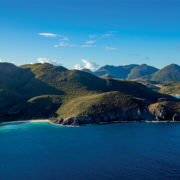 Les 60 nuances de bleus DE Donovane Tremor