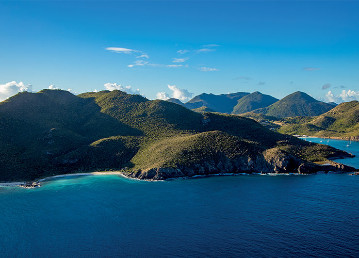 Les 60 nuances de bleus DE Donovane Tremor