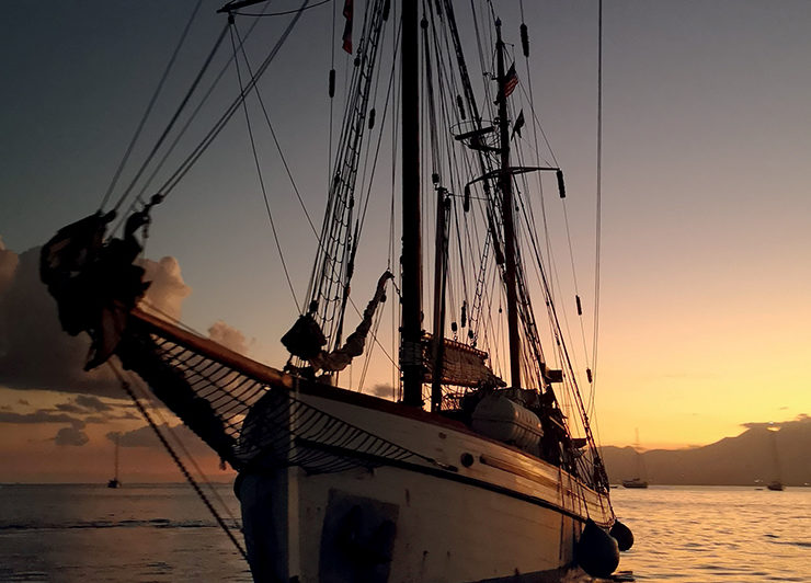 Labora & l’Artocarpe… une résidence artistique au gré du vent