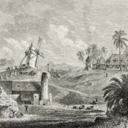 L’alcool de canne à sucre le Rhum agricole