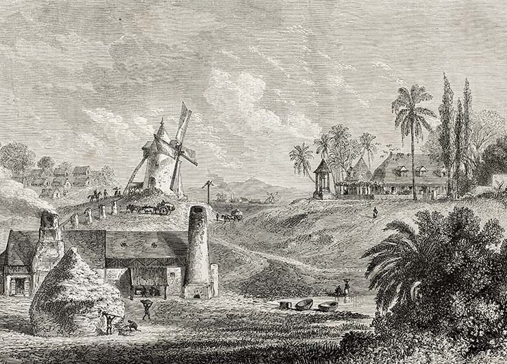 L’alcool de canne à sucre le Rhum agricole